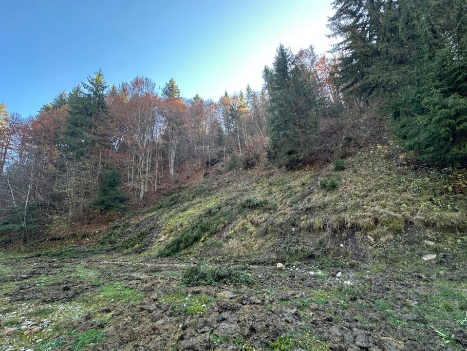 Teren 2.882 mp – oportunitate investitie - Cheile Dâmbovicioarei