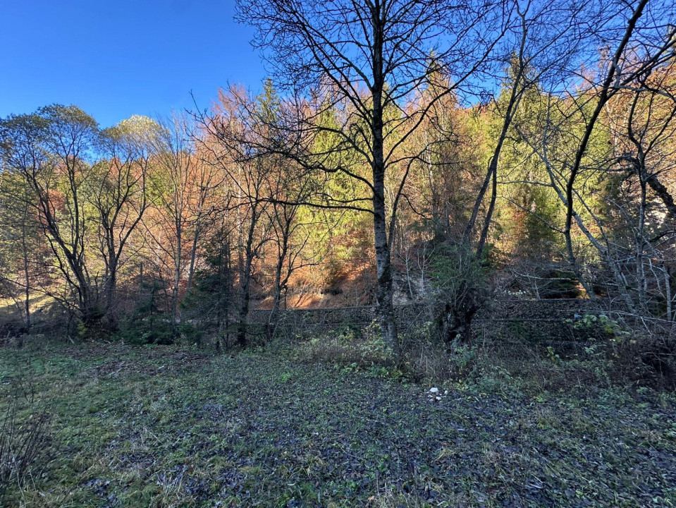 Teren 2.882 mp – oportunitate investitie - Cheile Dâmbovicioarei