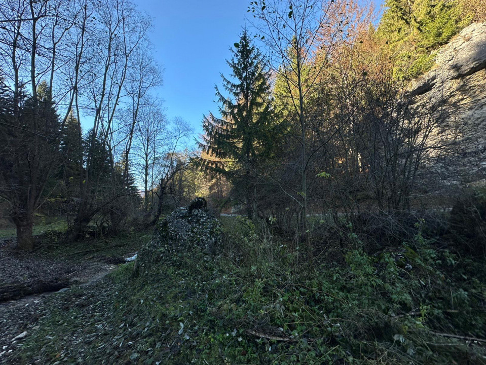 Teren 2.882 mp – oportunitate investitie - Cheile Dâmbovicioarei