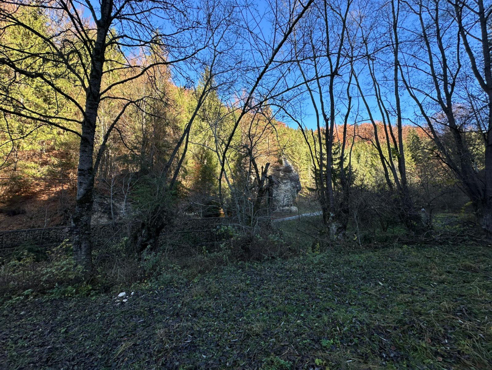 Teren 2.882 mp – oportunitate investitie - Cheile Dâmbovicioarei