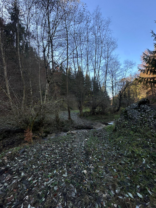 Teren 2.882 mp – oportunitate investitie - Cheile Dâmbovicioarei