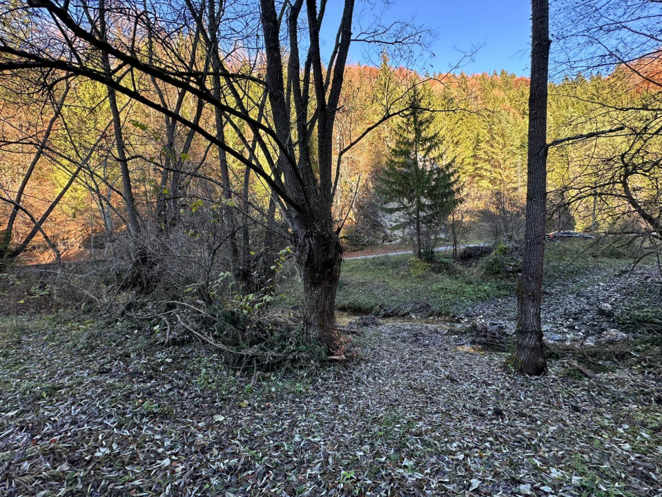 Teren 2.882 mp – oportunitate investitie - Cheile Dâmbovicioarei