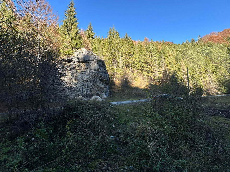 Teren 2.882 mp – oportunitate investitie - Cheile Dâmbovicioarei