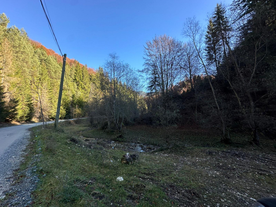 Teren 2.882 mp – oportunitate investitie - Cheile Dâmbovicioarei