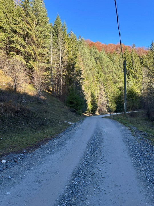 Teren 2.882 mp – oportunitate investitie - Cheile Dâmbovicioarei