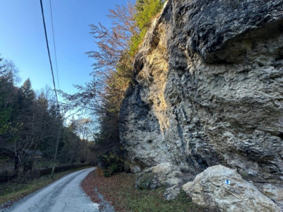 Teren 2.882 mp – oportunitate investitie - Cheile Dâmbovicioarei