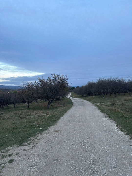 Teren de Vânzare – 34.485 mp | Câmpulung Muscel | Zonă Panoramică & Dezvoltare