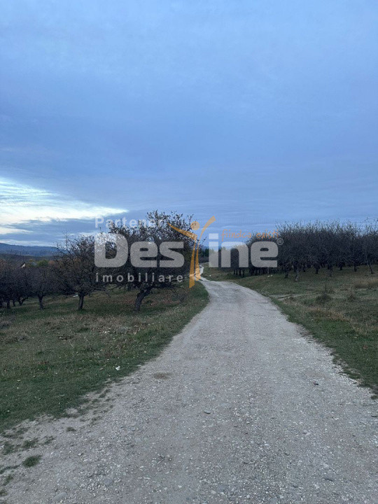 Teren de Vânzare – 34.485 mp | Câmpulung Muscel | Zonă Panoramică & Dezvoltare