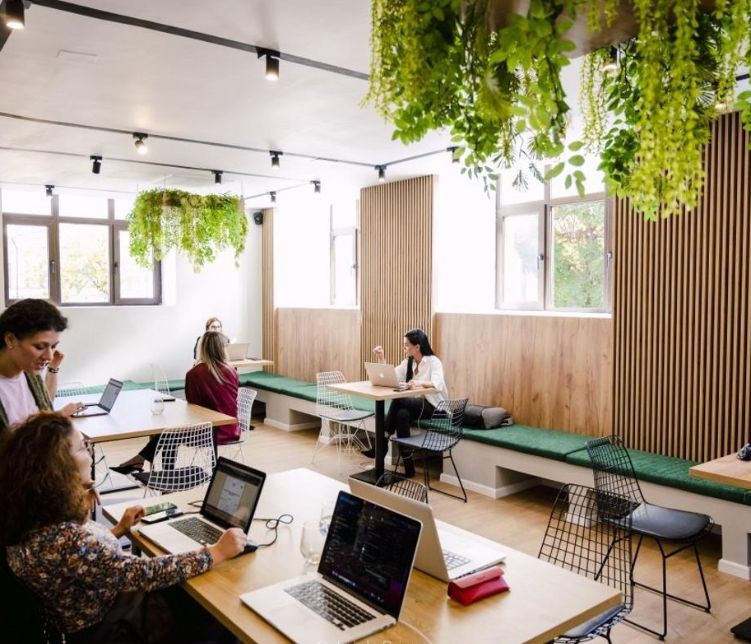 Calea Victoriei I Vila Monument Istoric I Consolidata si Renovata