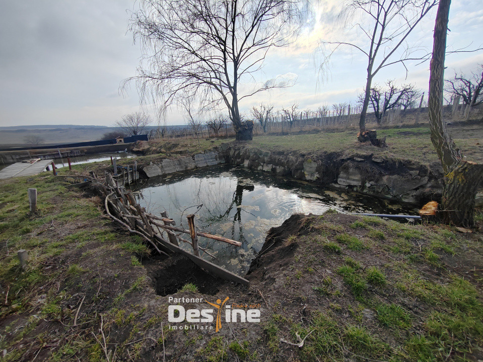 COMISION 0% - Teren intravilan cu 2 iazuri populate – 2225 mp Mogoșești