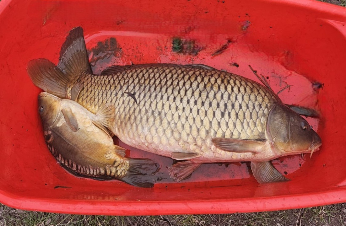 COMISION 0% - Teren intravilan cu 2 iazuri populate – 2225 mp Mogoșești