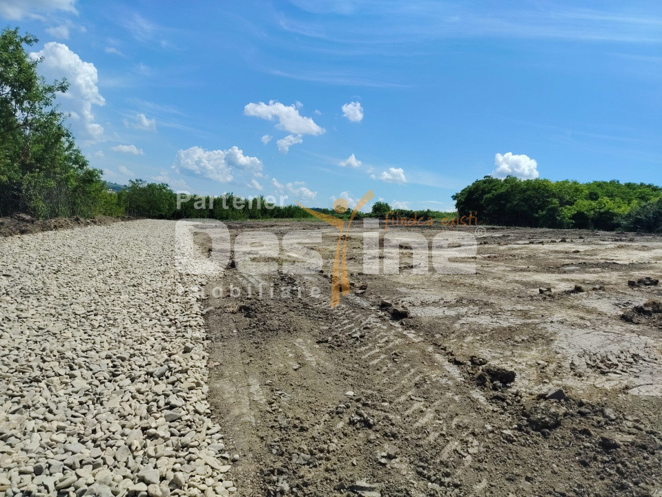TEREN intravilan - PROSELNICI 655 MP, 19.900 EURO