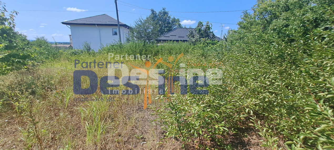 TEREN INTRAVILAN 1680 MP , MIROSLAVA CENTRU 