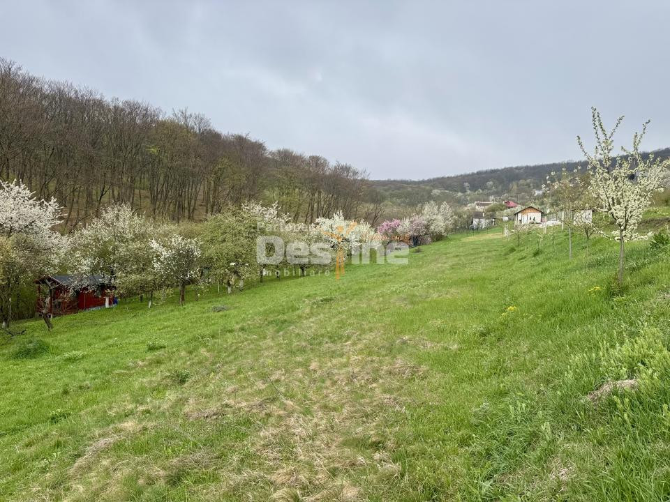 Teren intravilan Deva- Roci