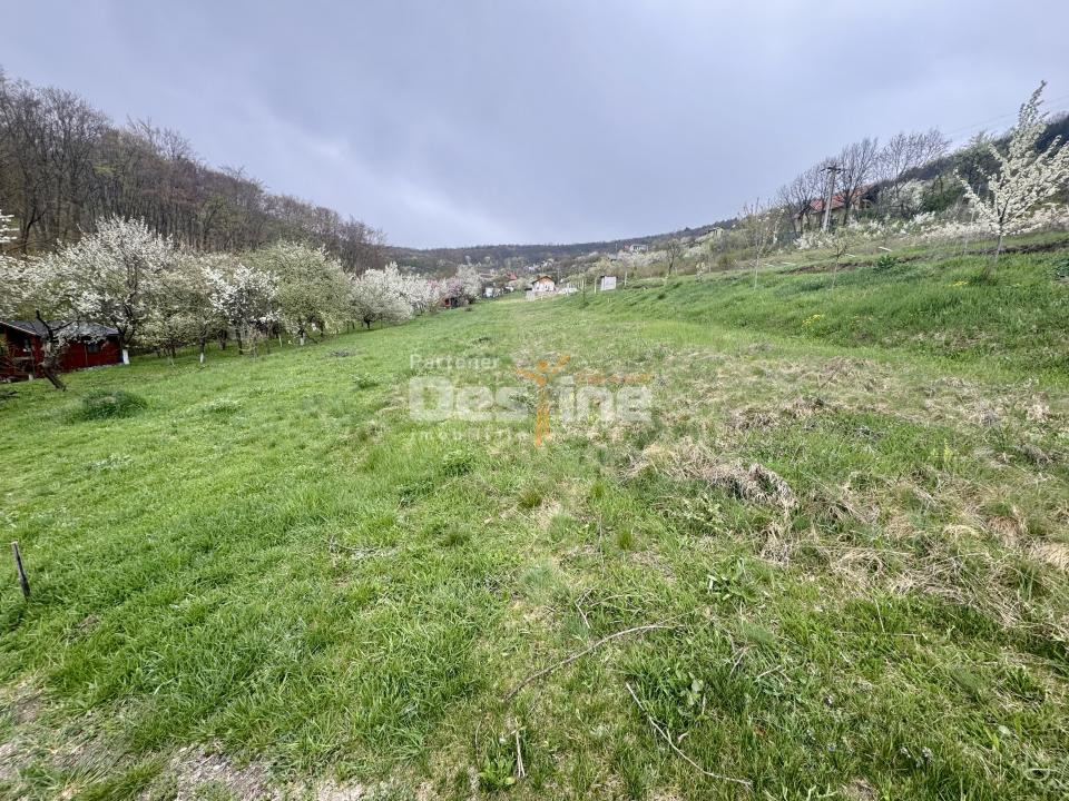 Teren intravilan Deva- Roci