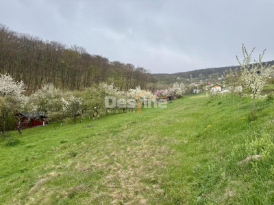 Teren intravilan Deva- Roci