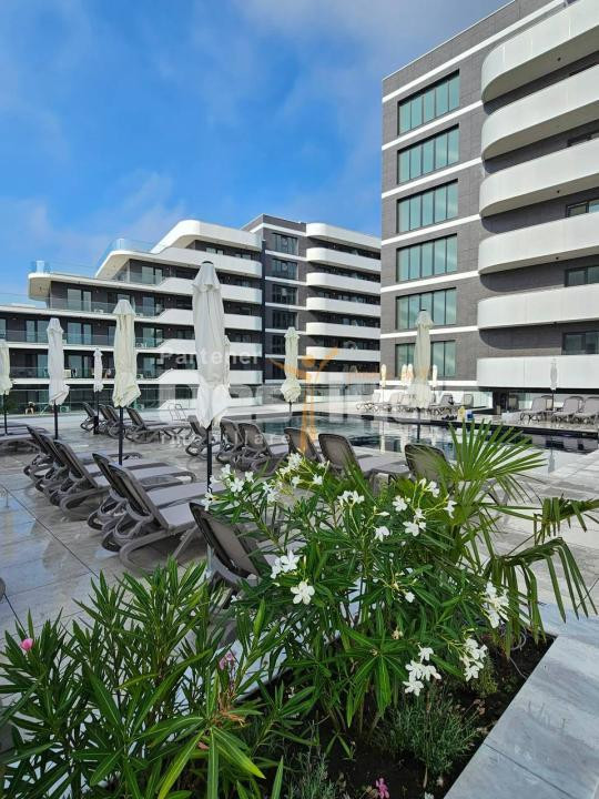 Alezzi Odyssey | Termen Lung | Pret Fix!