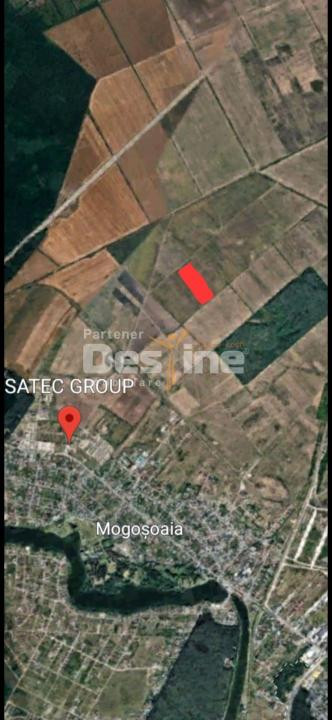 Teren extravilan Mogosoaia