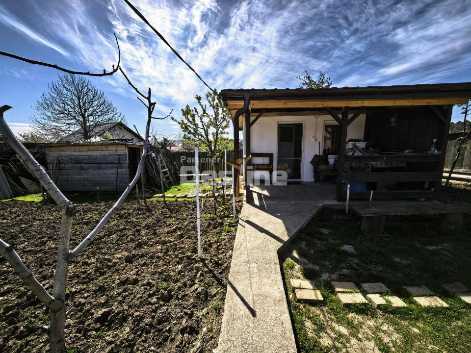 Casă 4 camere plan parter cu beci și anexe + 720 mp curte 