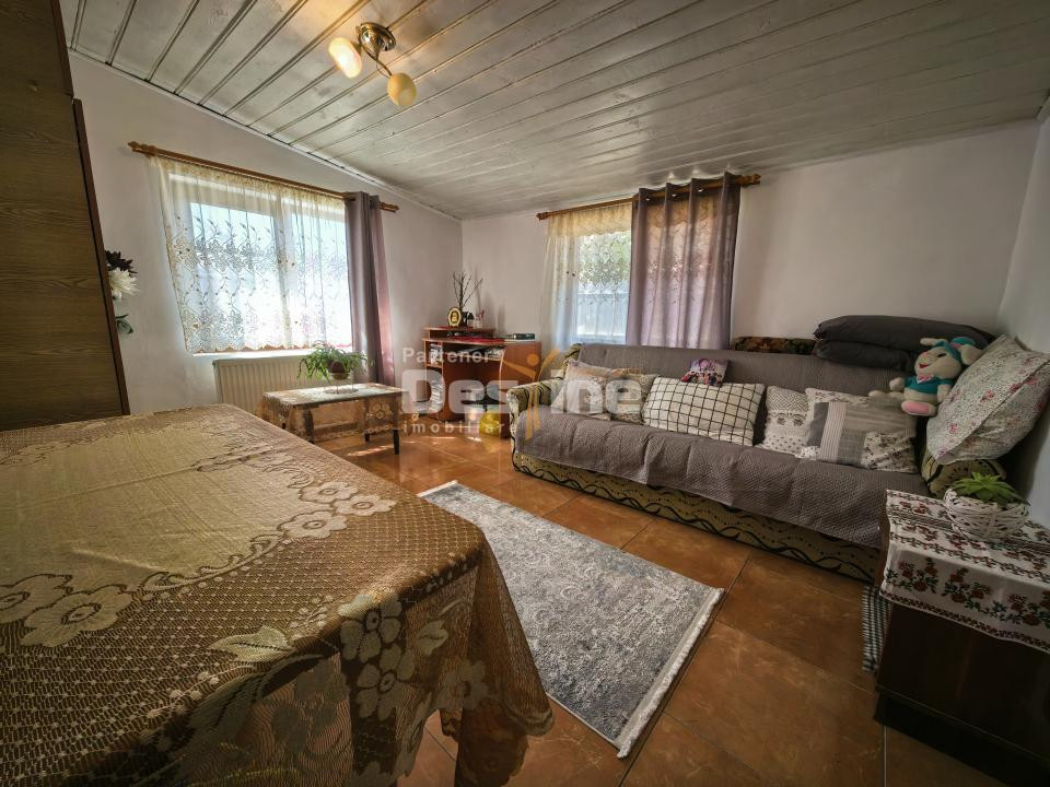 Casă 4 camere plan parter cu beci și anexe + 720 mp curte 