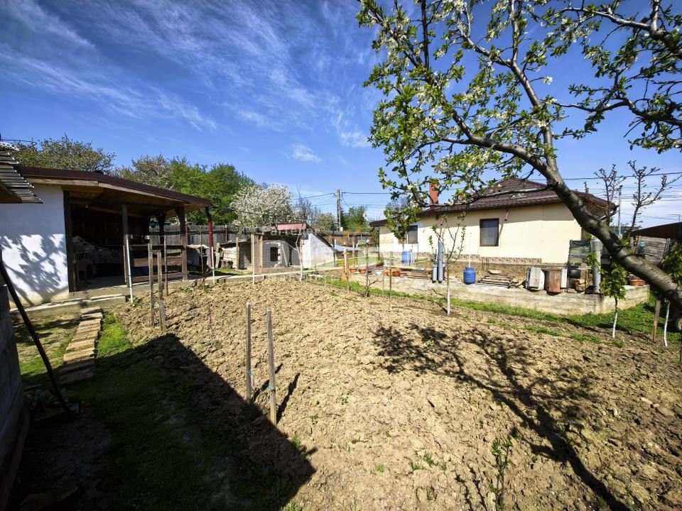 Casă 4 camere plan parter cu beci și anexe + 720 mp curte 