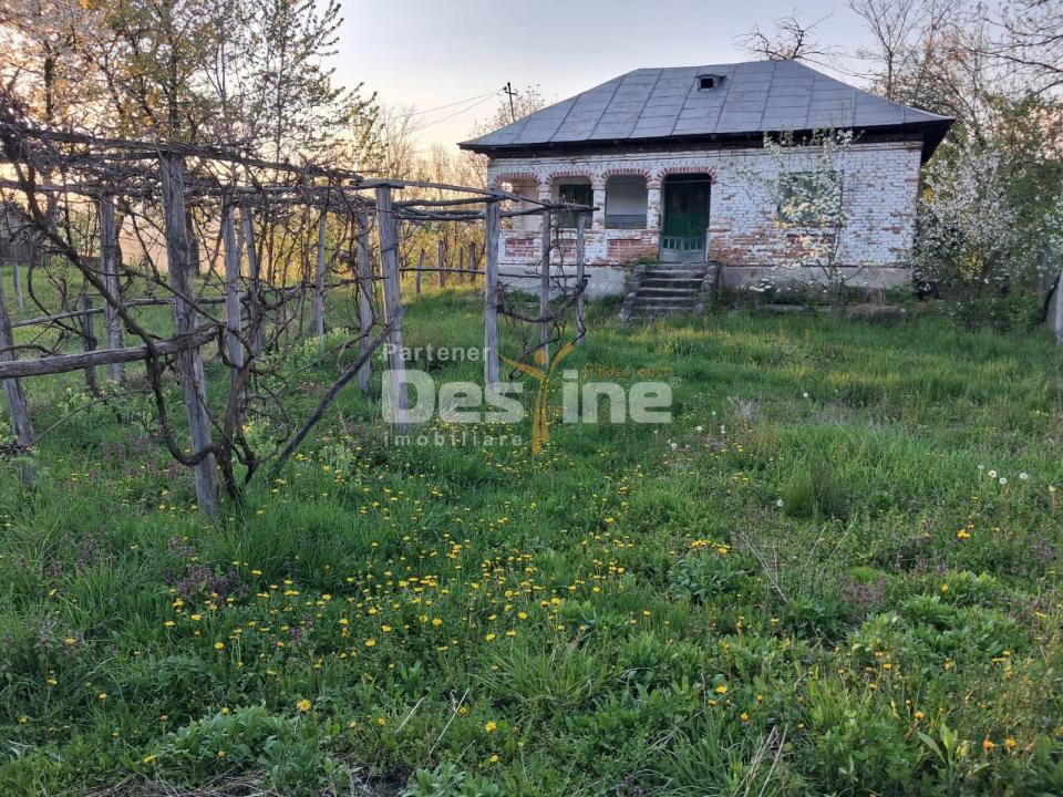 Casă bătrânească cu teren 1150 mp, vie și livadă – Șerbănești, Păușești, Vâlcea
