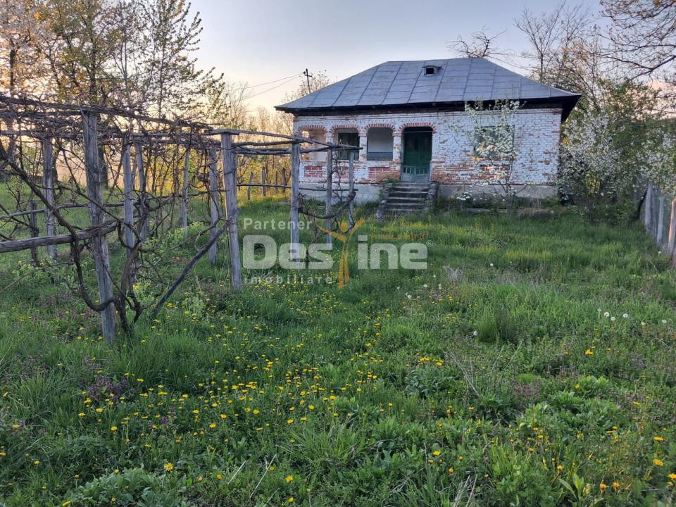 Casă bătrânească cu teren 1150 mp, vie și livadă – Șerbănești, Păușești, Vâlcea
