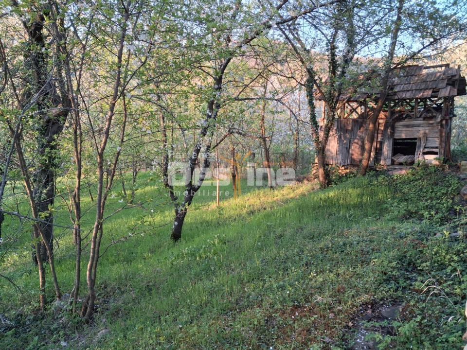 Casă bătrânească cu teren 1150 mp, vie și livadă – Șerbănești, Păușești, Vâlcea