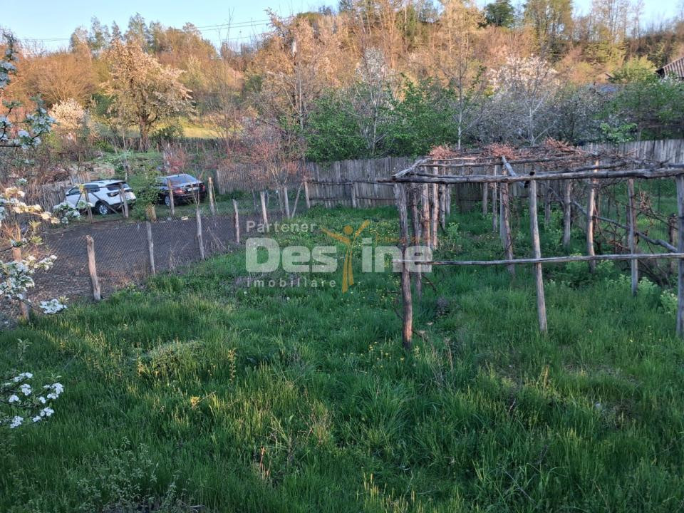 Casă bătrânească cu teren 1150 mp, vie și livadă – Șerbănești, Păușești, Vâlcea