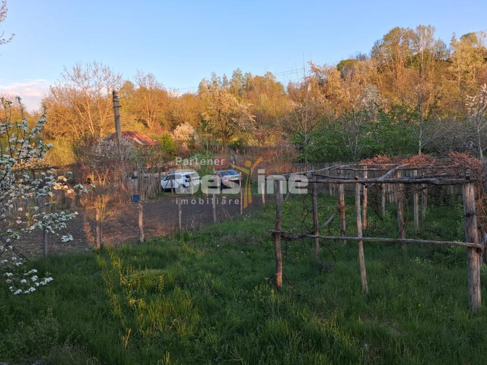 Casă bătrânească cu teren 1150 mp, vie și livadă – Șerbănești, Păușești, Vâlcea