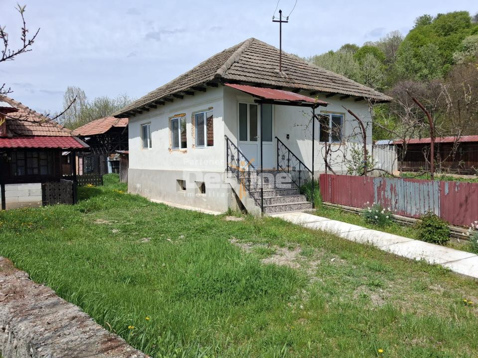 Casă renovată complet, 3068 mp teren, lângă Mănăstirea Surpatele-Valcea