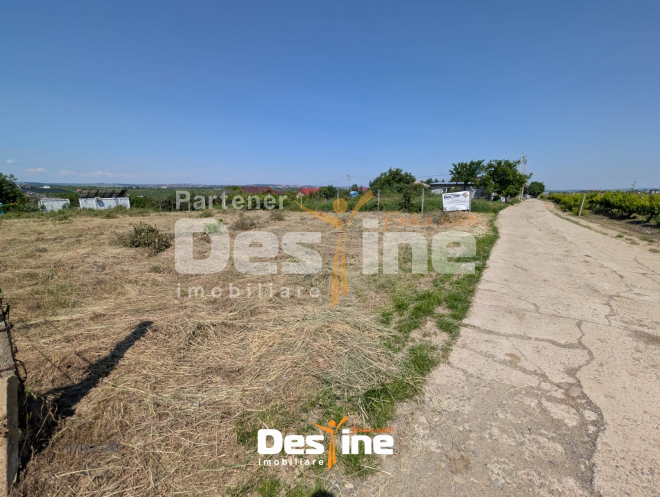 Bârnova - Teren Intravilan 974 Mp, utilitati, drum betonat