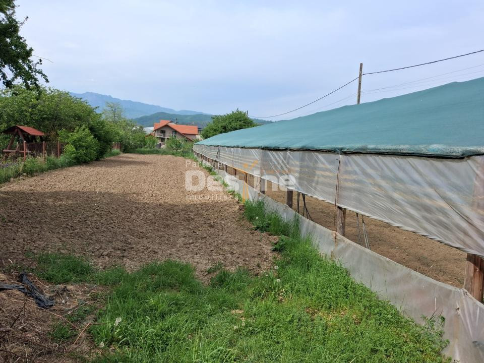 Loturi teren intravilan în Dăești, cu utilități complete, solar și garaj 