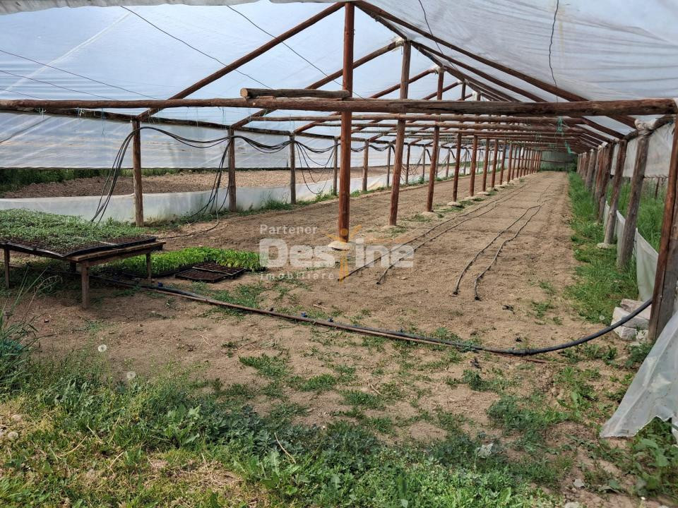 Loturi teren intravilan în Dăești, cu utilități complete, solar și garaj 