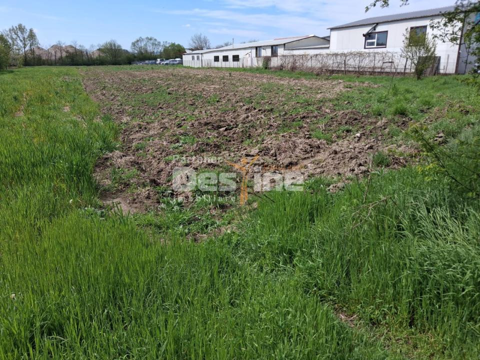 Teren intravilan excelent pentru investiție/comercial în Mihăești – DN64