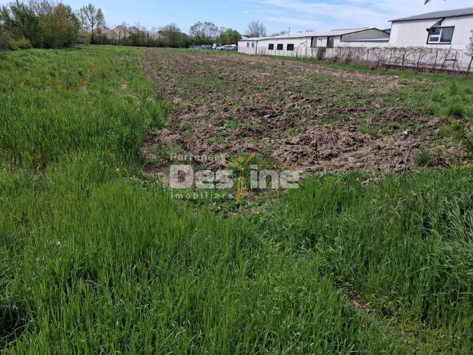 Teren intravilan excelent pentru investiție/comercial în Mihăești – DN64