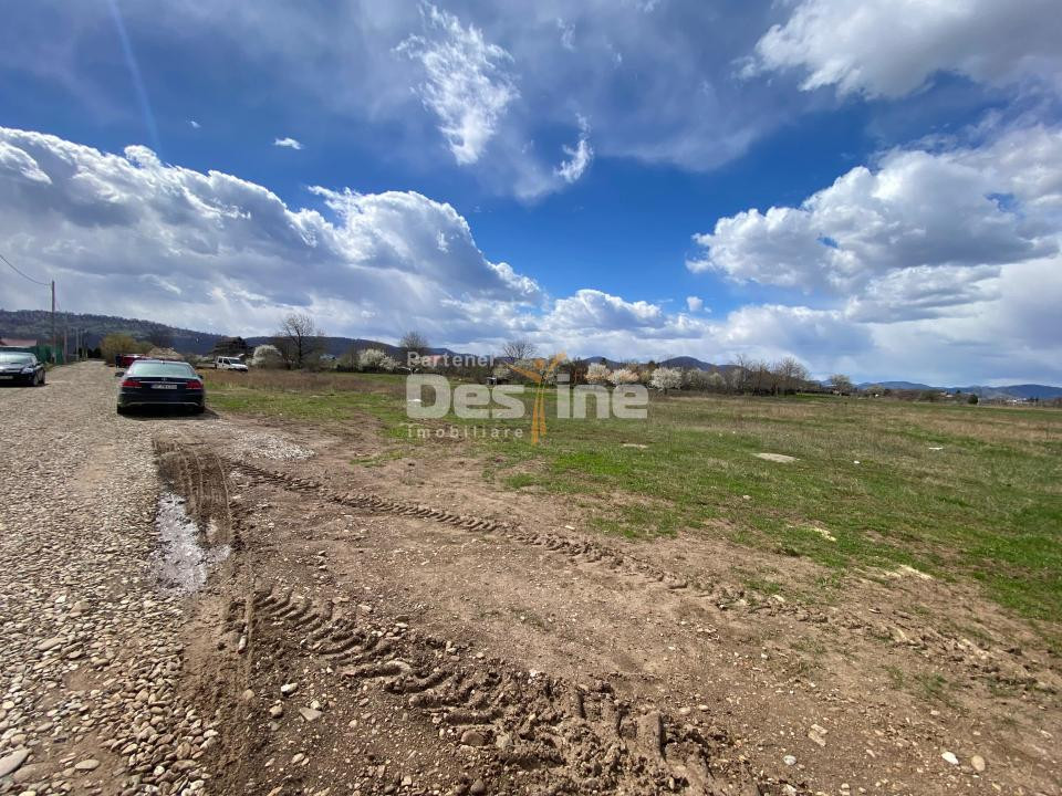Teren de vanzare Dumbrava Rosie 20.000 Euro 900mp