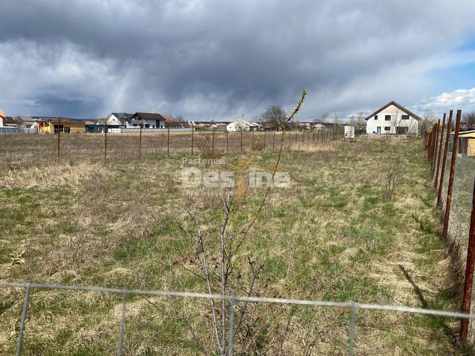 Teren de vanzare Dumbrava Rosie 20.000 Euro 900mp