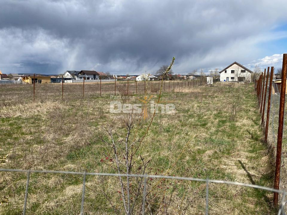 Teren de vanzare Dumbrava Rosie 20.000 Euro 900mp