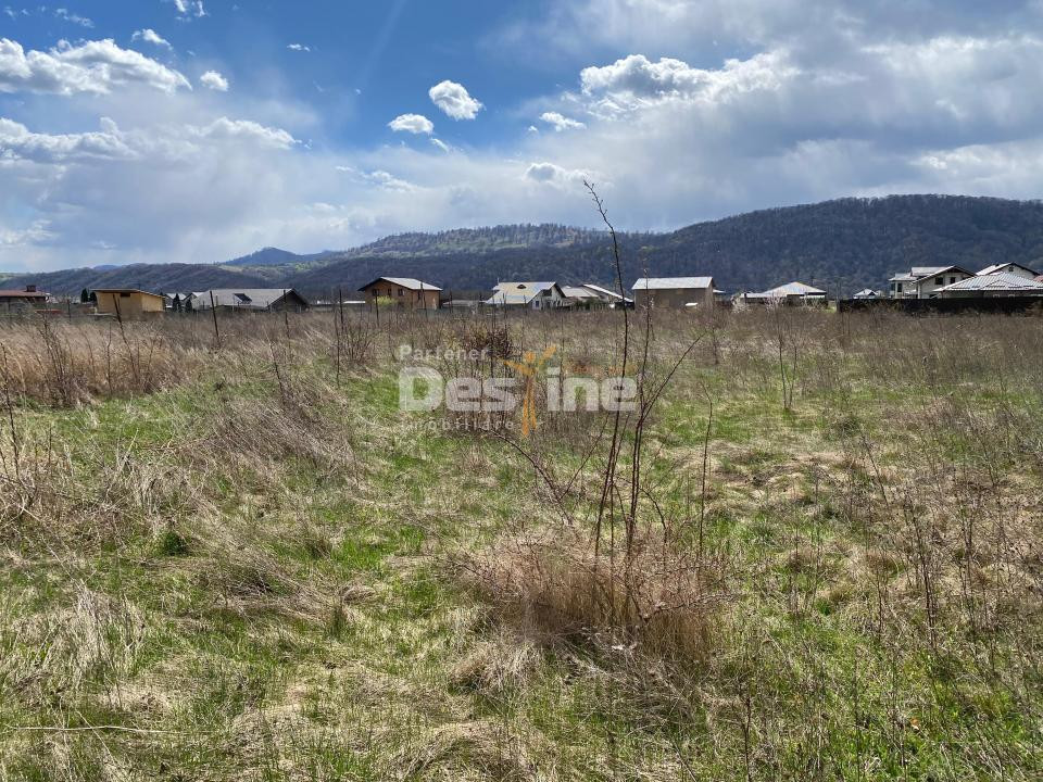 Teren de vanzare Dumbrava Rosie 20.000 Euro 900mp