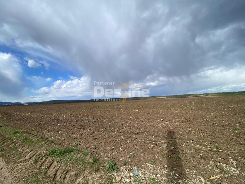 Teren de vanzare Dumbrava Rosie 20.000 Euro 900mp