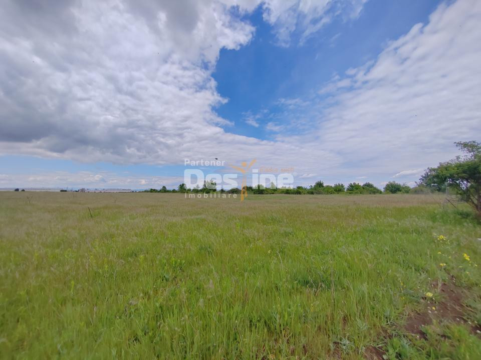 Teren extravilan, 114000 mp, Parc industrial West Park