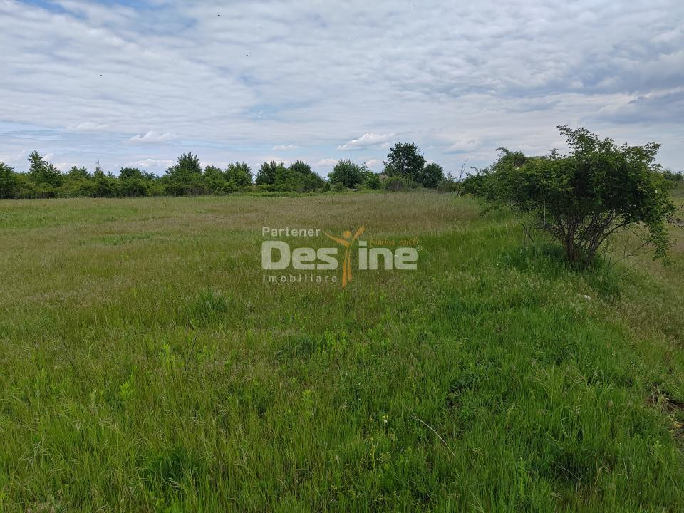 Teren extravilan, 114000 mp, Parc industrial West Park