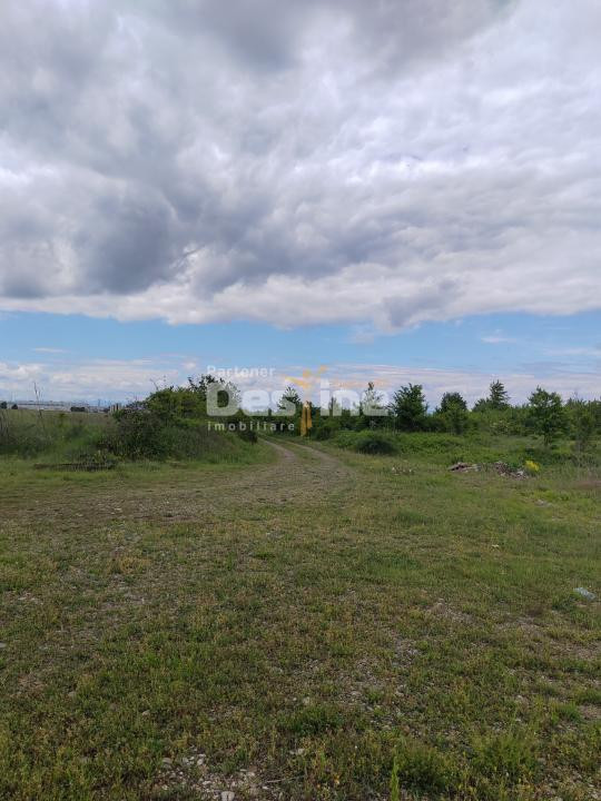 Teren extravilan, 114000 mp, Parc industrial West Park