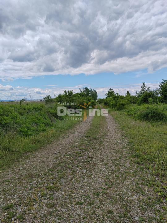 Teren extravilan, 114000 mp, Parc industrial West Park