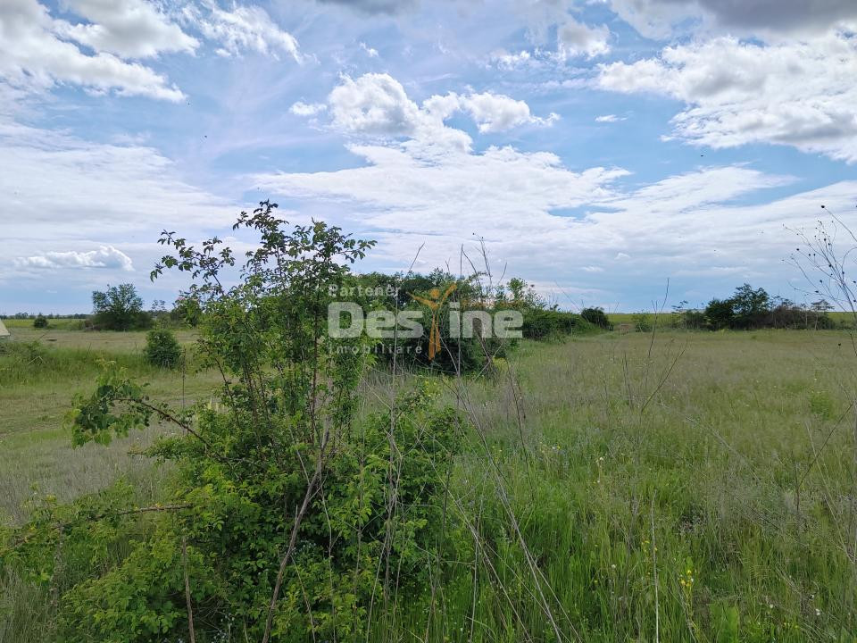Teren extravilan, 114000 mp, Parc industrial West Park