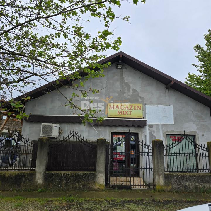 CASA DE VANZARE 