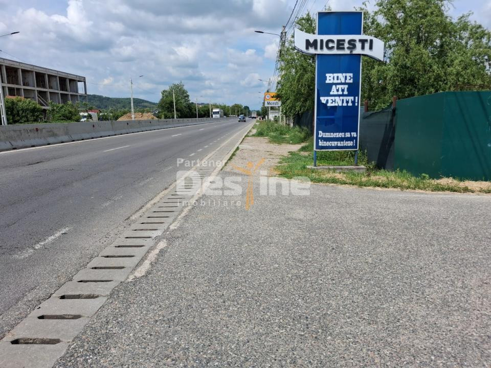Teren Extravilan de Vânzare – Mărăcineni, Sat Argeșelu