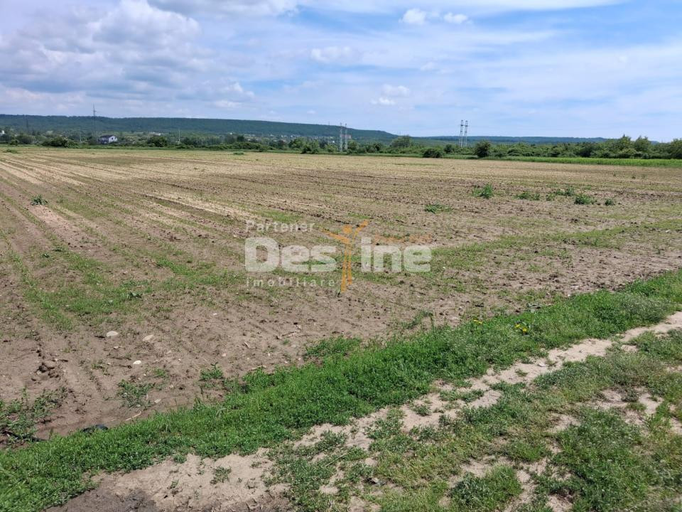 Teren Extravilan de Vânzare – Mărăcineni, Sat Argeșelu