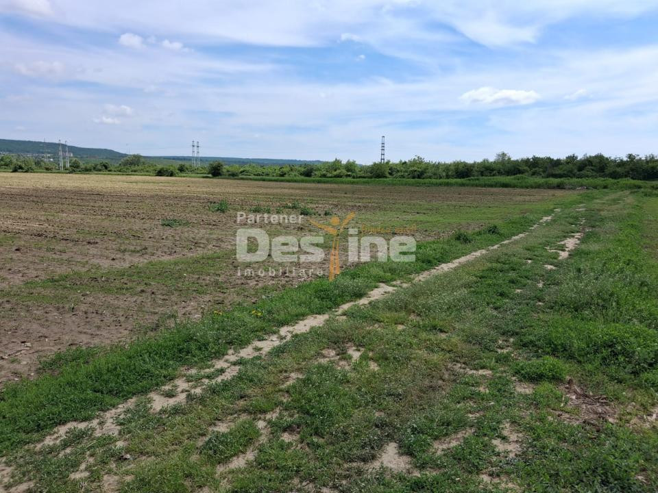 Teren Extravilan de Vânzare – Mărăcineni, Sat Argeșelu
